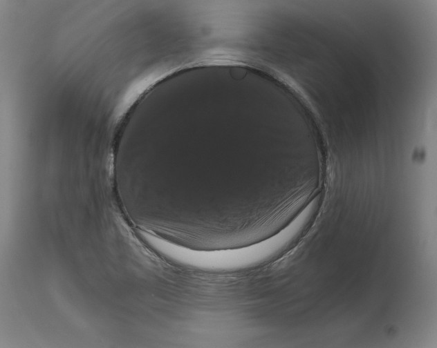 X0000114621461200911171047