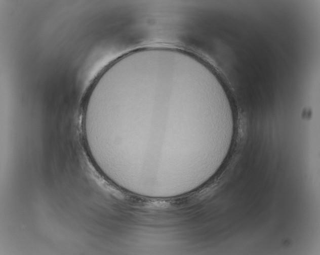 X0000114621462200911171047