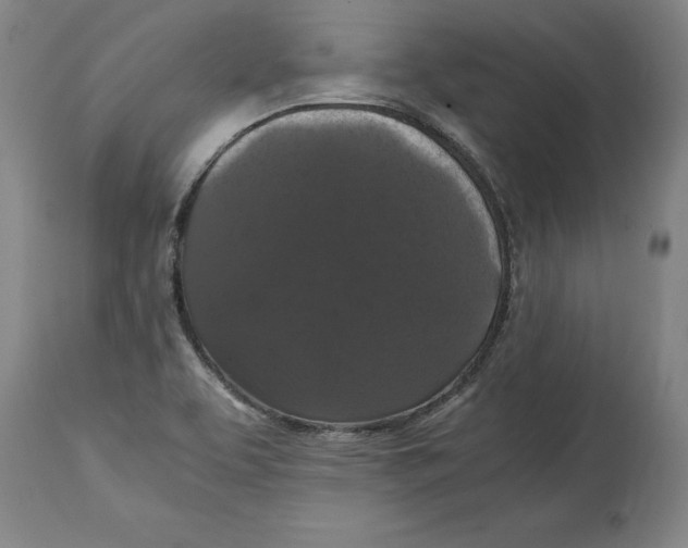 X0000114621463200911171047