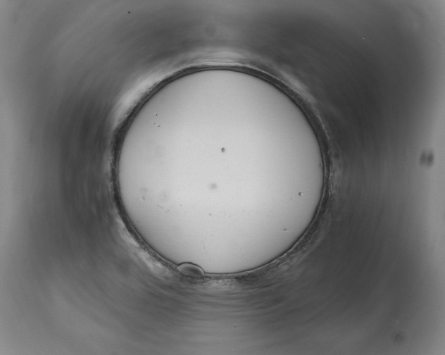 X0000114621464200911171047