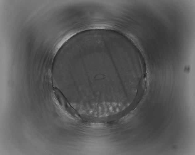 X0000114621465200911171047