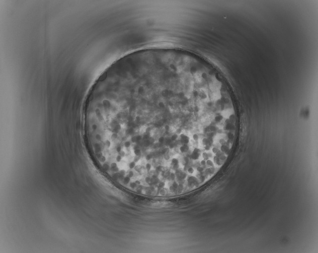 X0000114621467200911171047