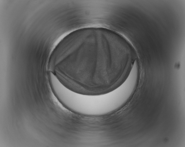 X0000114621468200911171047