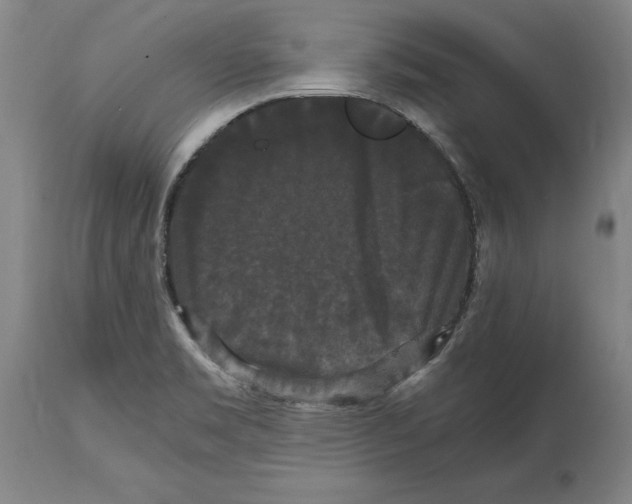 X0000114621469200911171047