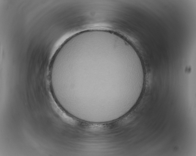 X0000114621470200911171047
