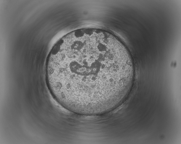 X0000114621471200911171047