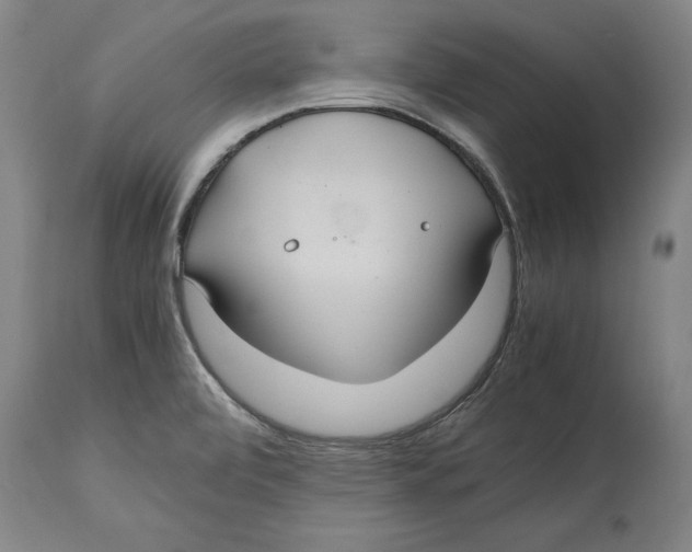 X0000114621472200911171047