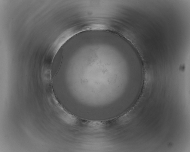 X0000114621473200911171047