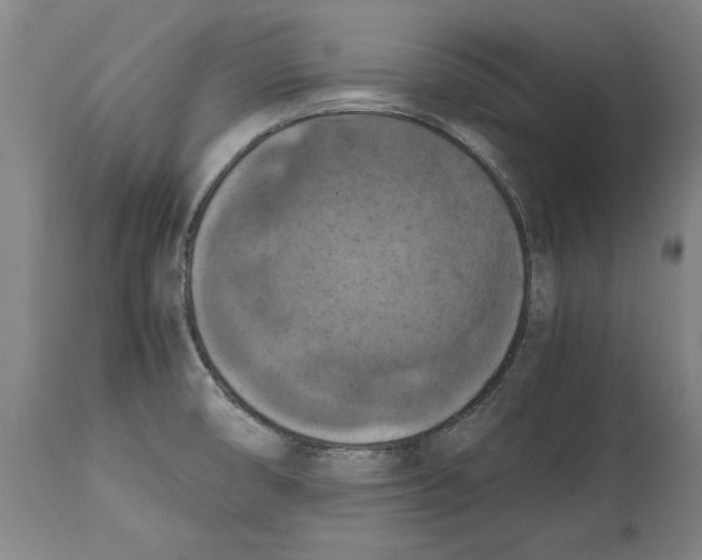 X0000114621474200911171046