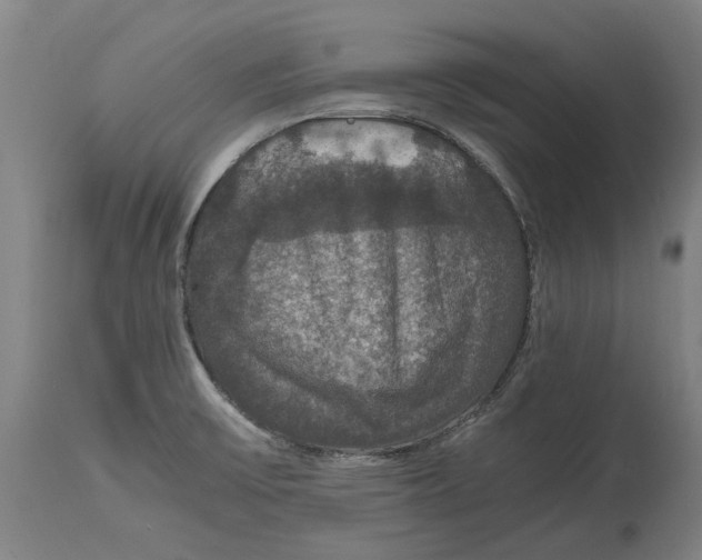 X0000114621475200911171046