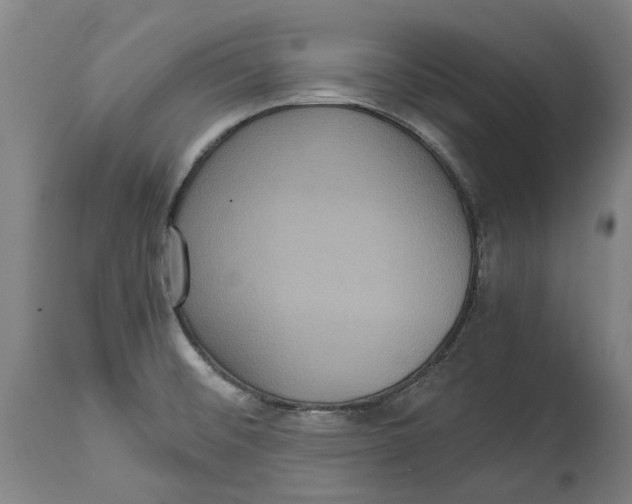X0000114621476200911171046