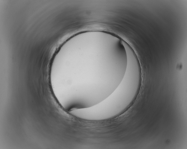 X0000114621477200911171046