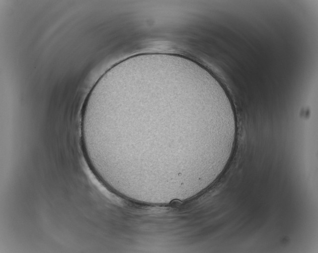 X0000114621479200911171046