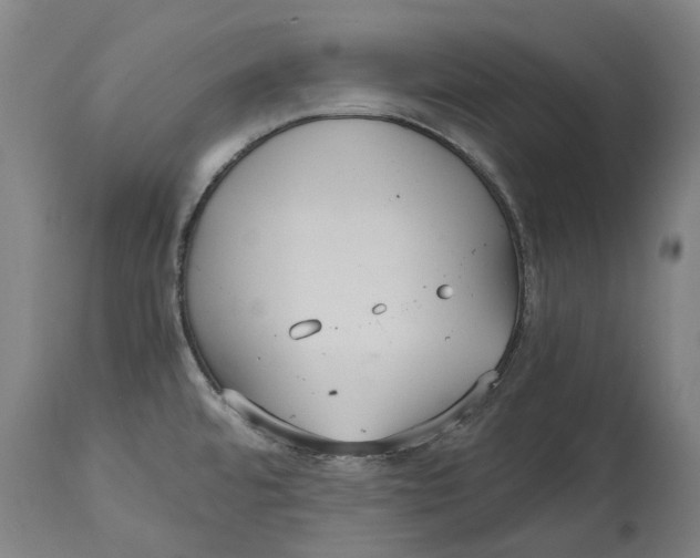 X0000114621480200911171046