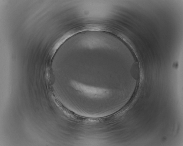 X0000114621481200911171046