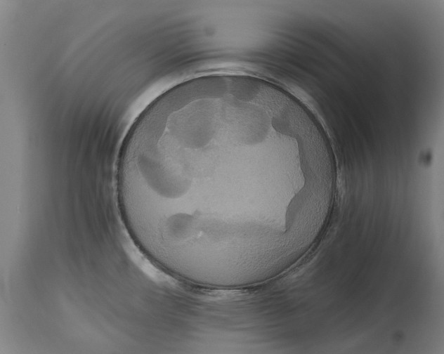X0000114621482200911171046