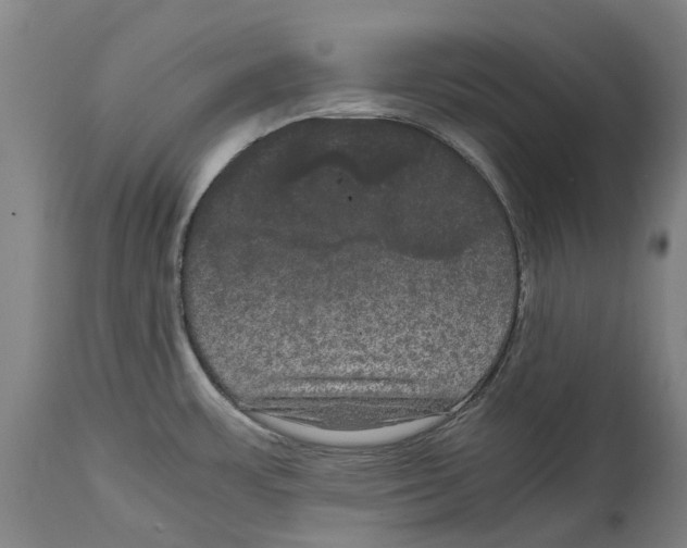 X0000114621483200911171046