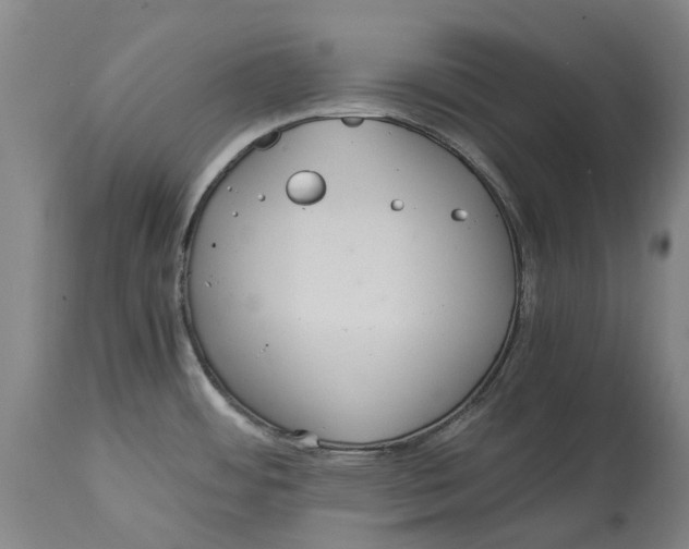 X0000114621484200911171046