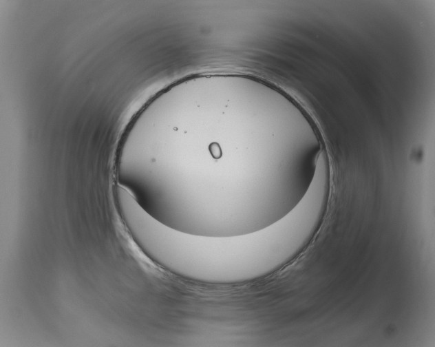 X0000114621485200911171046