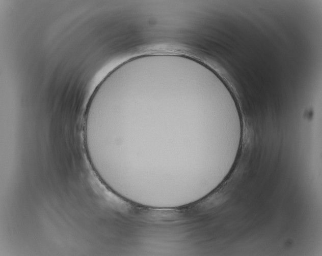 X0000114621486200911171046