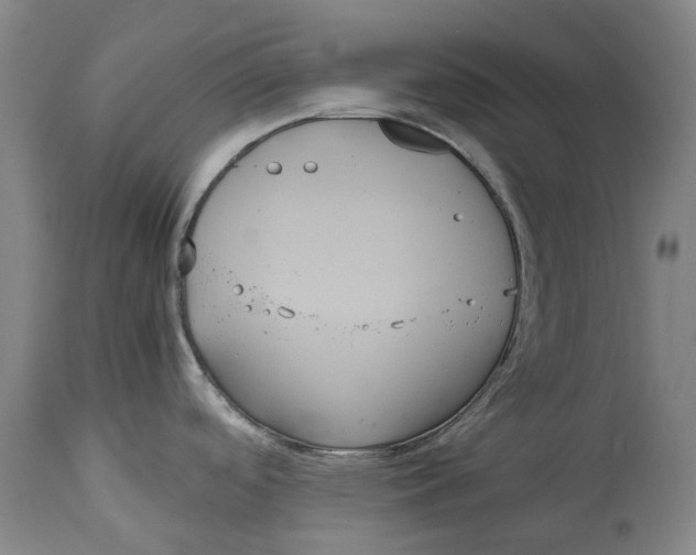 X0000114621488200911171046