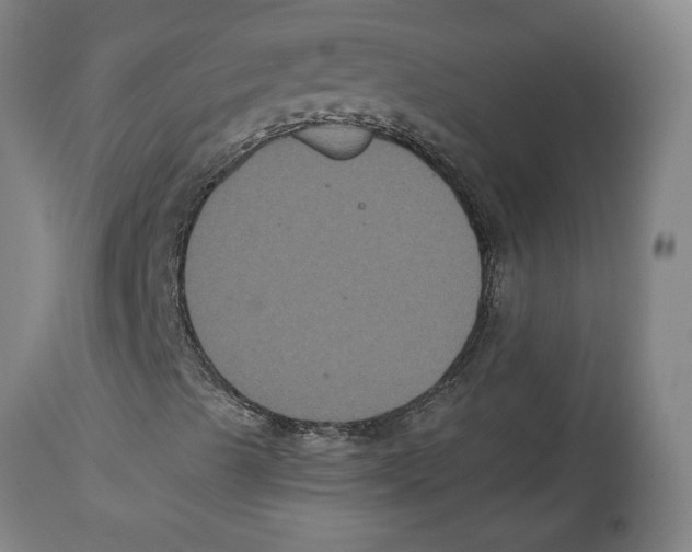 X0000114621489200911171045