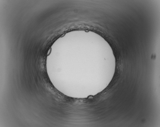 X0000114621490200911171045