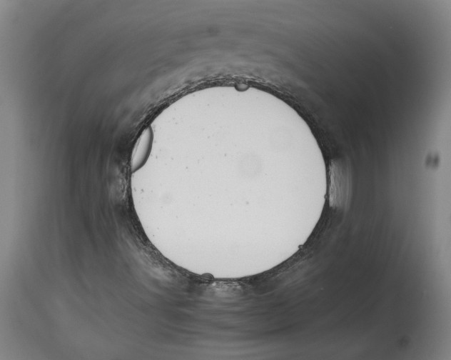 X0000114621491200911171046