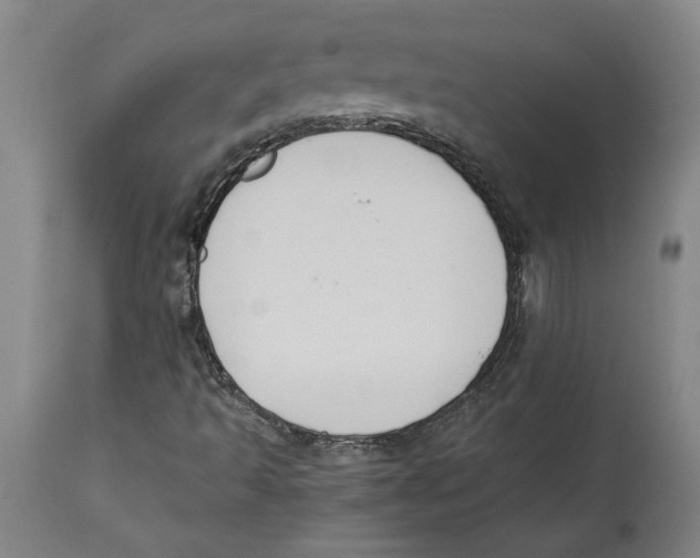 X0000114621493200911171046