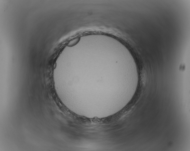 X0000114621494200911171046
