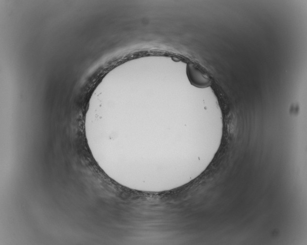 X0000114621495200911171046