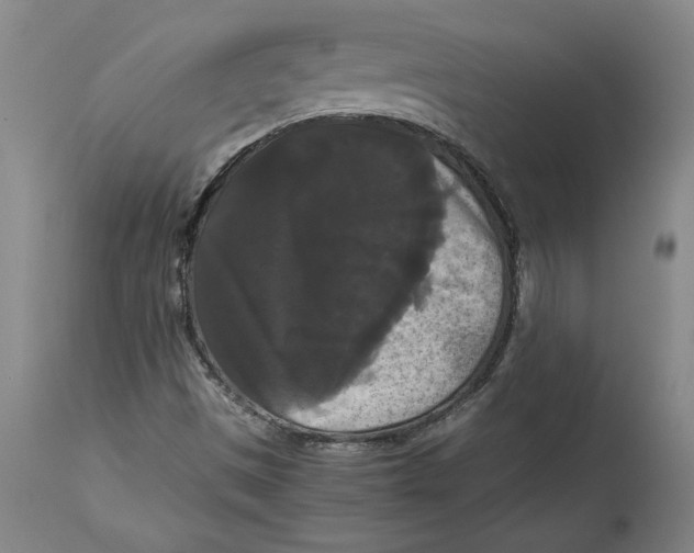 X0000114621497200911171046