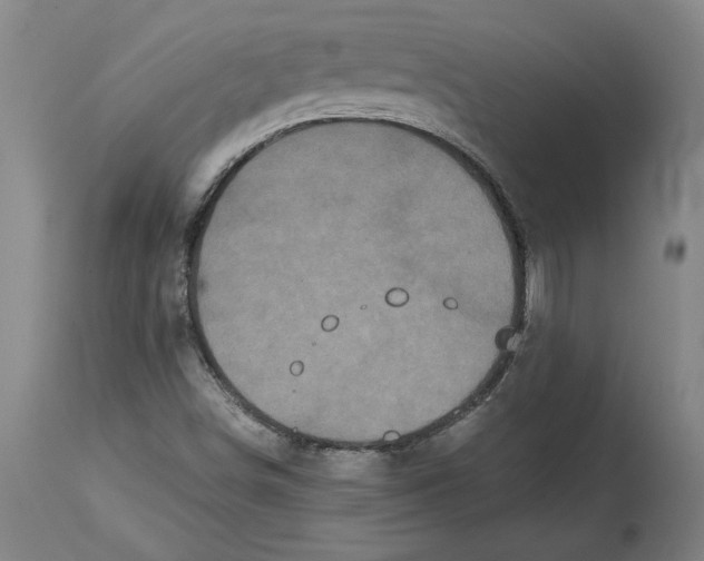 X0000114621498200911171046