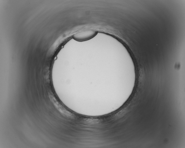 X0000114621499200911171046