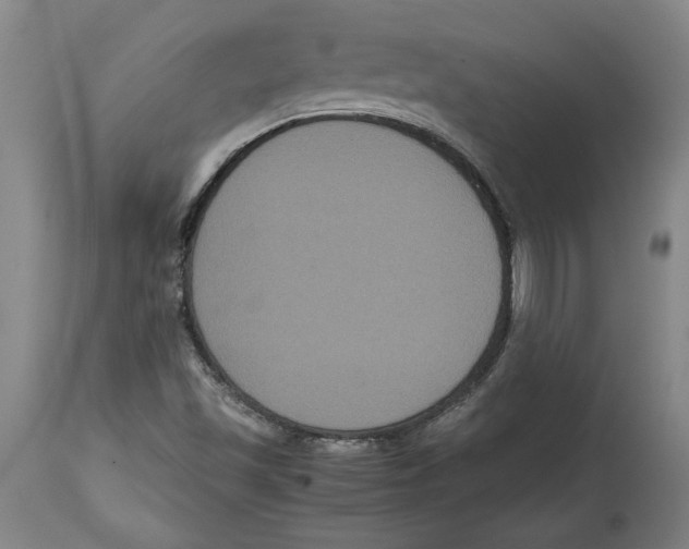 X0000114621501200911171046