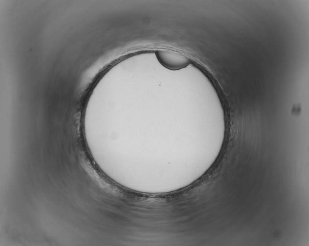 X0000114621503200911171046