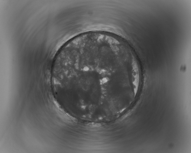 X0000114621505200911171046