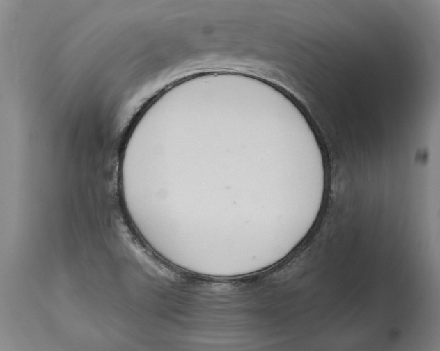 X0000114621507200911171046