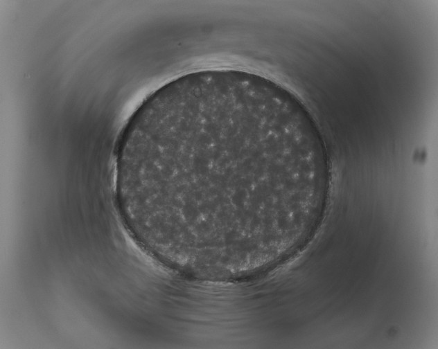 X0000114621509200911171046