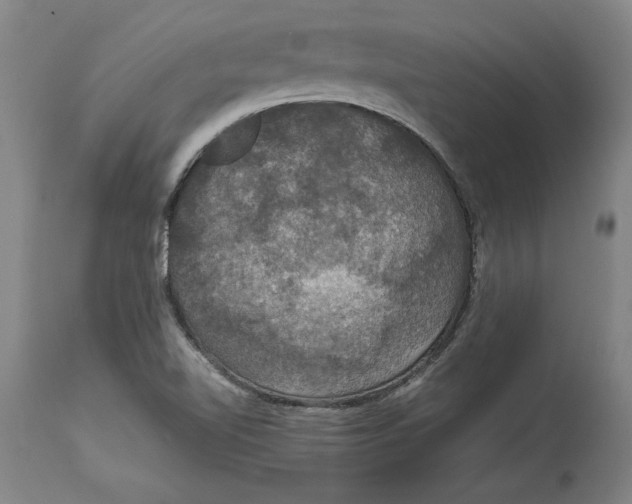 X0000114621510200911171046