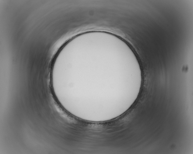 X0000114621511200911171046