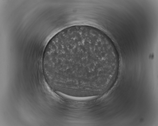X0000114621513200911171046