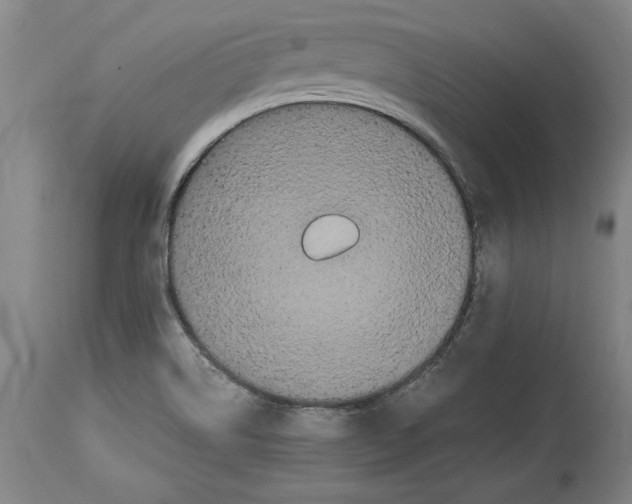 X0000114621514200911171046
