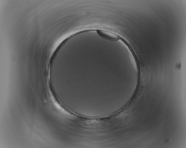 X0000114621515200911171046