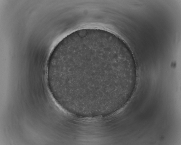 X0000114621517200911171046