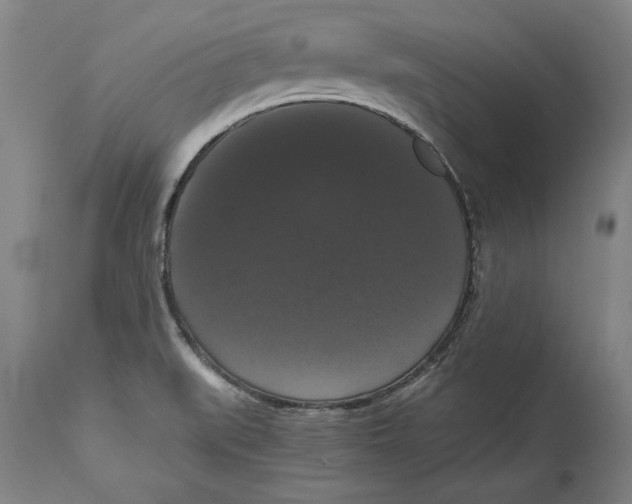 X0000114621519200911171046