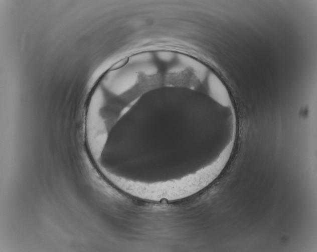 X0000114621522200911171046