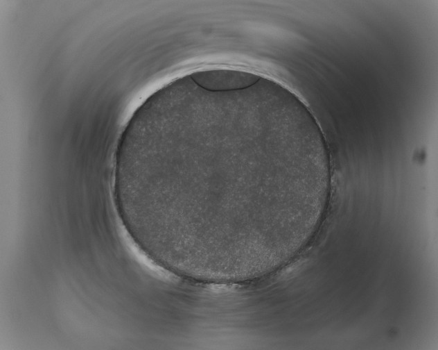 X0000114621523200911171046