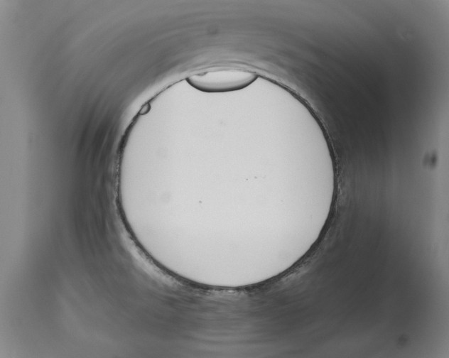 X0000114621526200911171046