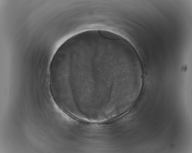 X0000114621527200911171046